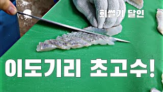 회썰기 초고수!!손이 너무 빨라서 안보임!! 찰광어 우럭 전어 이도기리 sashimi