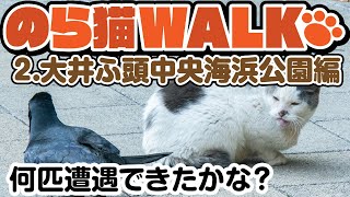 【散歩】のら猫WALK～2.大井ふ頭中央海浜公園編～