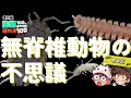 【野生の自然科学番組】無脊椎動物の不思議 【上野ロケ #2】