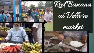 Red Banana at Vellore market and CMC Hospital tour.part 2