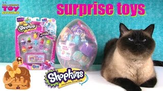 Shopkins Giant Surprise Egg #4 Disney Squinkies Animal Jam Twozies Toy Opening | PSToyReviews