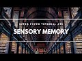 Sensory Memory (Intro Psych Tutorial #71)