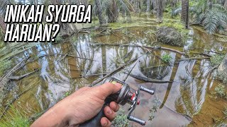 | Haruan Paya Sawit Tercekik | Ep. 59 | Casting Ikan Haruan @ Gabus | EXP Soft Frog |