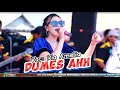 FARIS KENDANG MAHESA MUSIC and FRIENDS I RIA AMELIA - DUMES I AS PERKASA