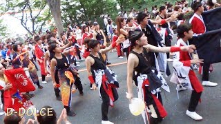 【#45】彩夏祭2017 《総踊り》2017/08/05 (公園通り北演舞場) よさこいフェスタ