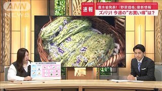 「野菜価格」農水省が最新動向発表　ズバリ！今週のお買い得は？【スーパーJチャンネル】(2024年10月21日)