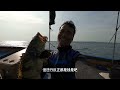 longzhen big grouper was sent to the door again 90 catties of fish earned 4000