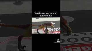 BOTM Velociraptor ‘Fight or Flight Response’ Stop Motion Comedy Test