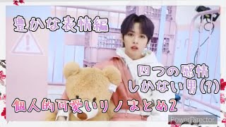 【StrayKids／日本語字幕】個人的に可愛いリノまとめep.2