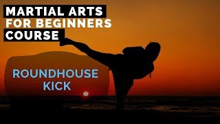 Karate Lesson for Beginners – Learn Karate's best kick -  ROUNDHOUSE KICK