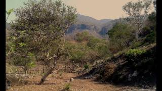 PAISAJES DE GUERRERO Héctor Cárdenas