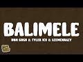 DBN Gogo & Tyler ICU & Leemckrazy - Balimele (Lyrics)
