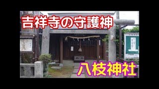 【一度は訪れる価値あり！】吉祥寺の隠れパワースポット! 八枝神社を参拝してみた。吉祥寺トキメキチャンネル キットキ #21