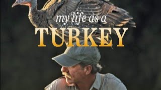 My Life as a Turkey | Illumination in the Flatwoods | Joe Hutto