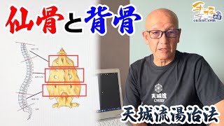 【杉本錬堂】仙骨と背骨の関係