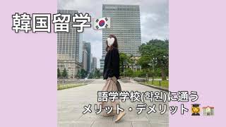 【韓国留学】語学学校(학원)に通うメリット・デメリットって？？👩‍🎓🇰🇷 #한국유학 #shorts