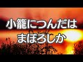 赤とんぼ　童謡　山田耕筰　懐かしい歌