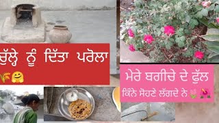 ਅੱਜ ਕਰੀਆ ਘਰ 🏠ਦੀਆਂ ਸਫਾਈਆਂ ਤੇ ਕੀਤੇ ਹੋਰ  ਕੰਮ 🌺🌺