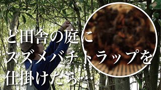 【獲れすぎた…】庭が広すぎる古民家の庭でハチトラップを仕掛けたら…｜田舎暮らし