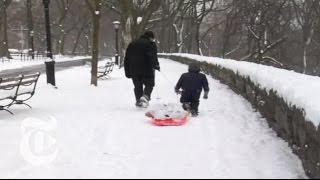 N.Y./Region: Snow Day in New York City | The New York Times