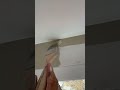 how to cut in a straight line.. ytshorts youtube diy howto painting viral yt