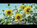 ド陰キャ夏音頭 魔王あるふぁ【歌ってみた】