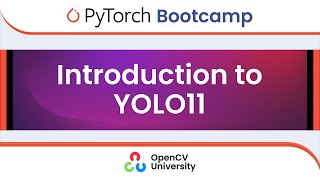 Pytorch Bootcamp for Beginners - 10 | YOLO11