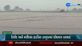 Unseasonal rains in Junagadh | જૂનાગઢ જિલ્લાના ગ્રામ્ય વિસ્તારોમાં ધોધમાર વરસાદ | ZEE 24 Kalak