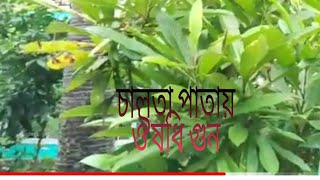 #চালতা পাতার উপকারিতা