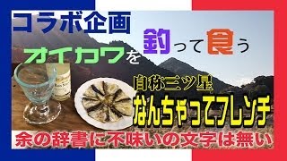 オイカワを釣って食う コラボ企画 第1弾 River-fishing