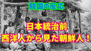 【韓国の反応・李氏朝鮮】日本統治前、西洋人から見た朝鮮人！【韓国人の反応・海外の反応】