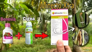 Syngenta Minecto Xtra | ಸಿಂಜೇಂಟಾ ಮಿನೆಕ್ಟೊ ಎಕ್ಸ್ಟ್ರಾ | Complete information