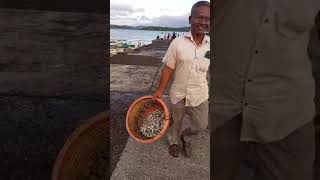 Andaman Nicobar Islands #touristplace #rainyday_andaman || அந்தமான் நிக்கோபார் #travel_vlog #trip🎈🎈