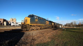 NS & CSX with mixed freight, intermodal and coke