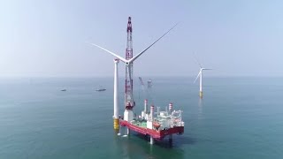 「洋上風力発電＋海洋牧場」のモデル区を建設　広東省