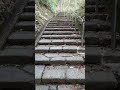 【４k映像】稲荷神社　鎌倉台