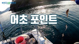 어초 포인트 볼락/sea fish house point