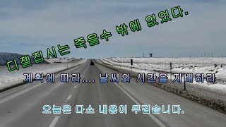 EP. 019 분명히 다름이 존재한다...(4일차 \u0026 호텔리셋)