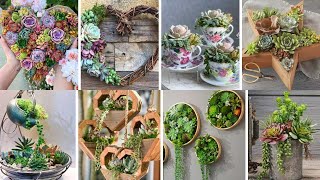 57 Beautiful and Creative Succulent Arrangements for Your Home Design