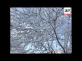 ISRAEL: JERUSALEM: SNOW FORCES CITY TO SHUT DOWN