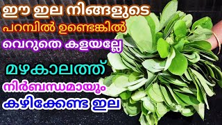 Thakara thoran |Thavara thoran | Senna tora | കർക്കിടകം സ്പെഷ്യൽ | തകര തോരൻ | തവര തോരൻ