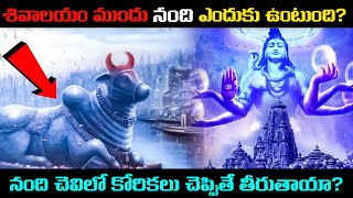 Why Nandi Sits in Front of Every Shiva Temple?🤔🐂 The Untold Story of Nandi!🔱🙏