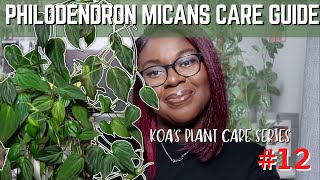The Fastest Trailing Plant Ever!🌿💨💨 | Philodendron Micans Care Guide