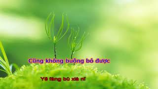 [ Vietsub-Pinyin]@ Tình yêu không thay đổi - 不变的情缘 - 作曲：正云 (Chính Vân)