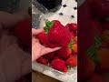 Is this the biggest strawberry ever? #shorts #strawberry #worldrecord