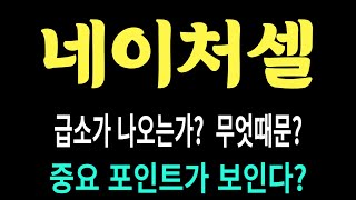 네이처셀 주가/급소가 나오는가? 무엇 때문? 중요 포인트가 보인다? #네이처셀 #네이처셀 주가 #네이처셀 전망 #네이처셀 주식