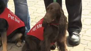 Pets Unstressing Passengers (PUP) Program Begins at LAX