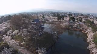 【NIIGATA-SORADORI】高田公園　百万人が愛でる桜　上越市