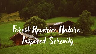 Forest Reverie | Relaxing Piano Music | Study Reading | Sleep Music | Romantic |Stress Relief