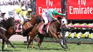 Prince of Penzance ~ 2015 Melbourne Cup